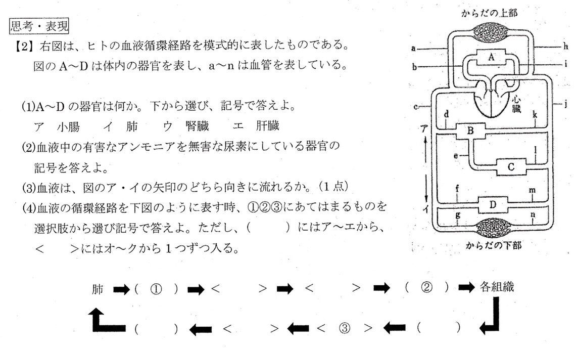 能開センター 小学6年 計算ドリル 第6巻 中学入試 - 語学・辞書・学習