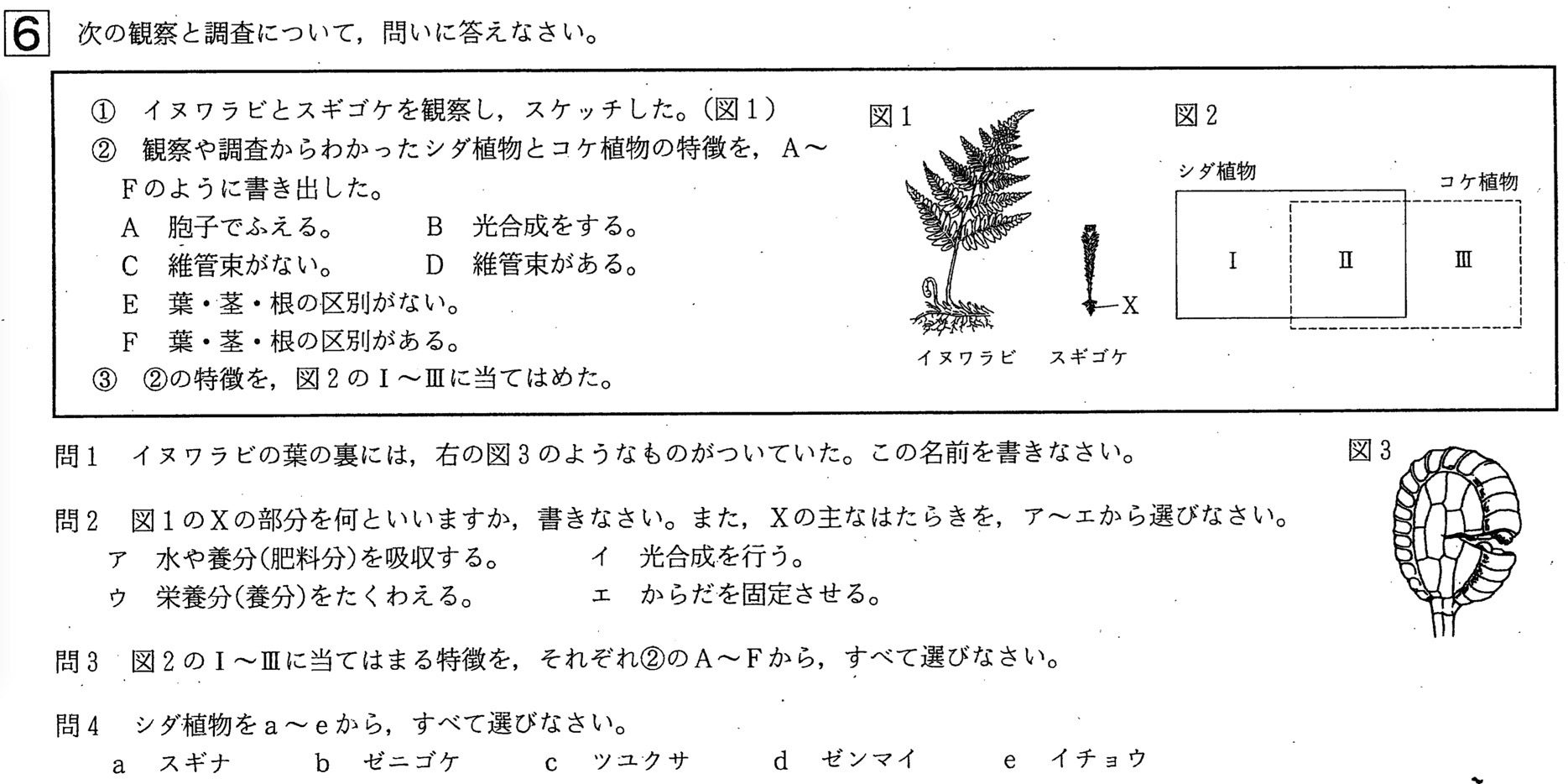 年過去問 中学3年北海道学力テスト総合a 理科 の問題 解答 答え 詳しい解説を全て公開します 家庭教師のsora