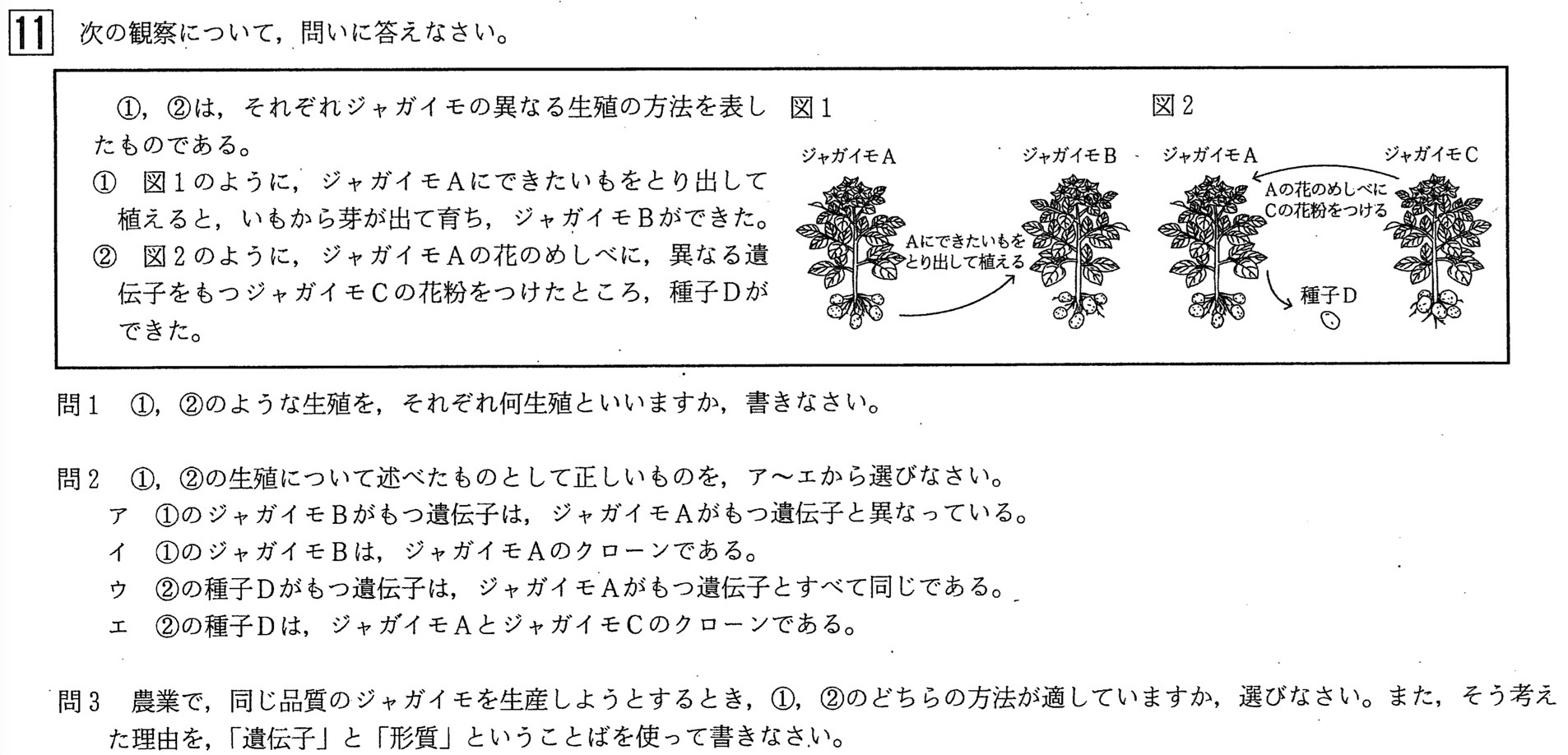 年過去問 中学3年北海道学力テスト総合b 理科 の問題 解答 答え 解説を全て公開します 家庭教師のsora