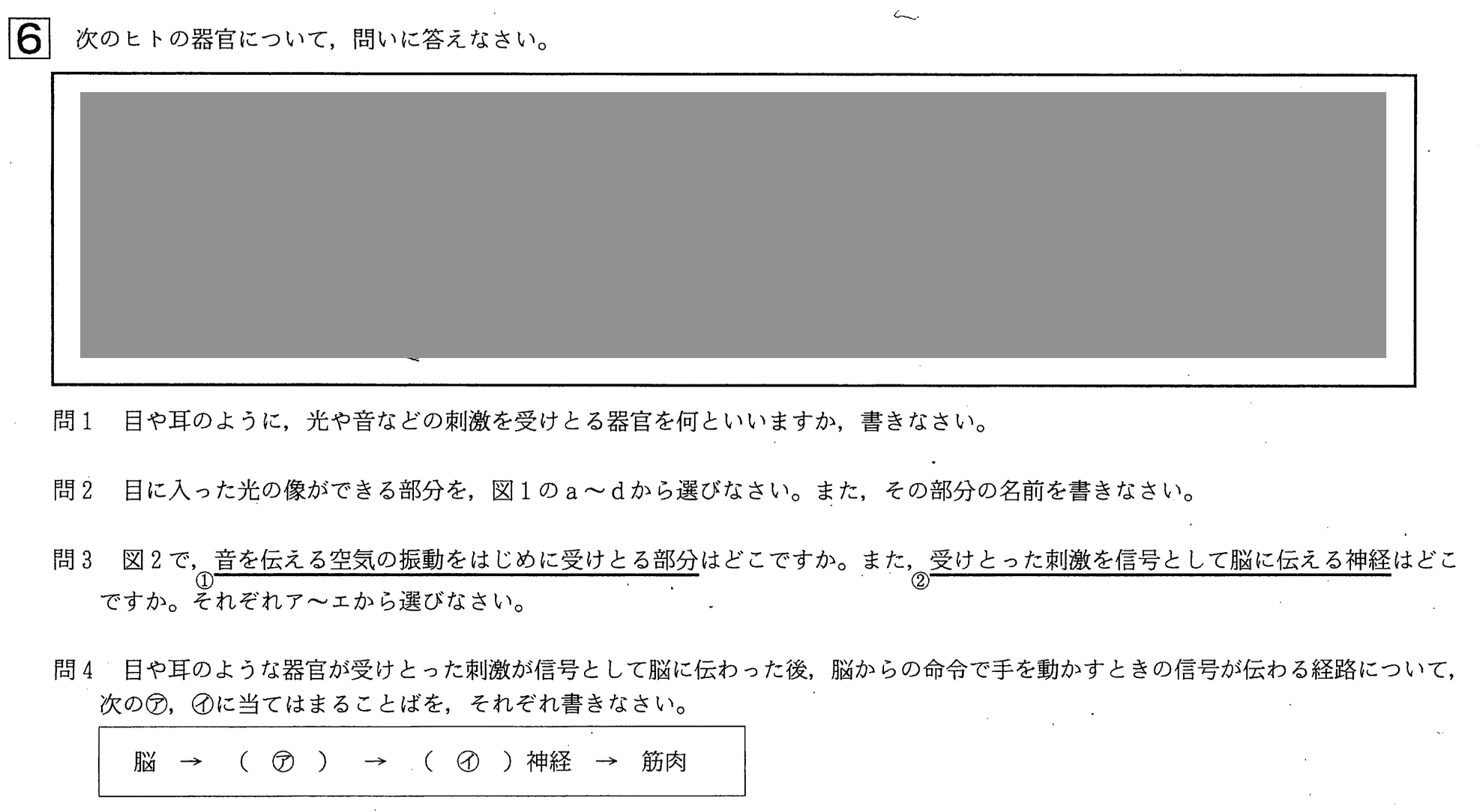 中学3年北海道学力テスト総合A「理科」(2021、令和3年)問題