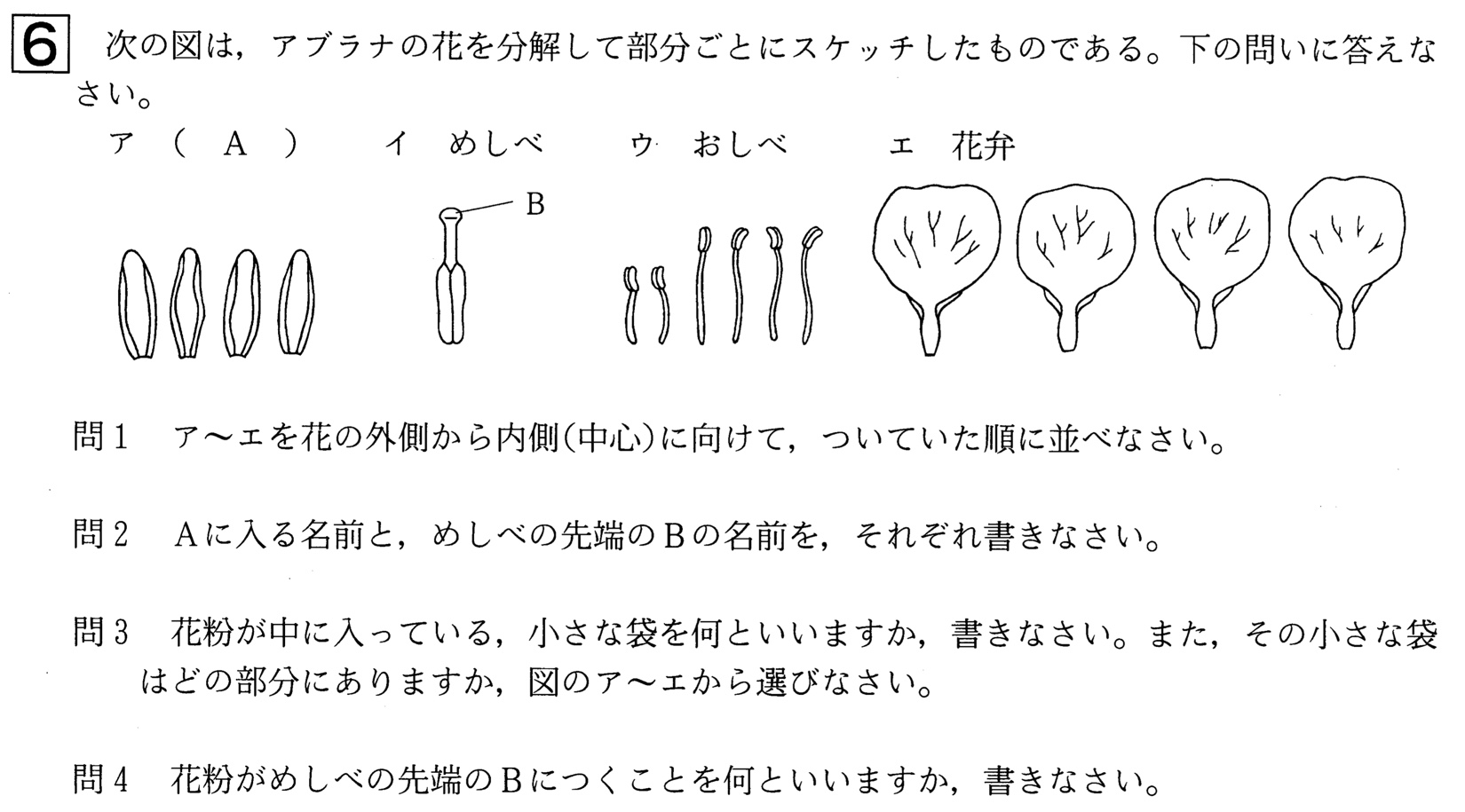 21年 中学1年北海道学力テスト第3回 理科 の過去問題 解答 答え 詳しい解説を全て公開 家庭教師のそら