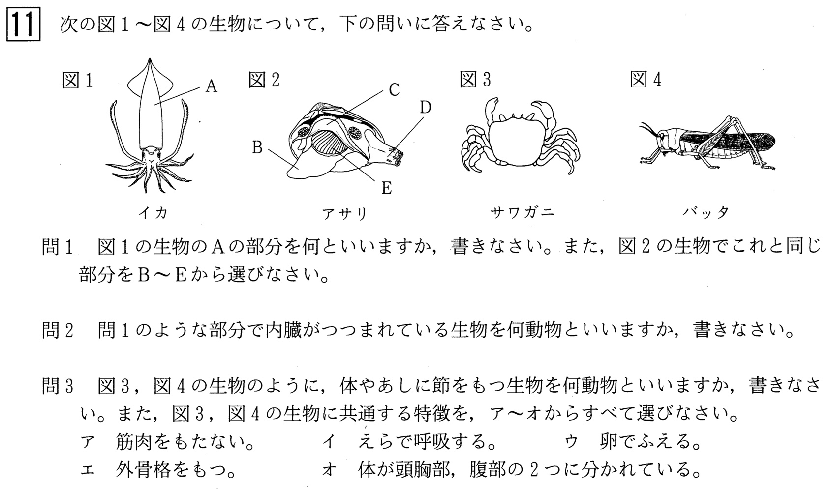 21年 中学1年北海道学力テスト第3回 理科 の過去問題 解答 答え 詳しい解説を全て公開 家庭教師のそら