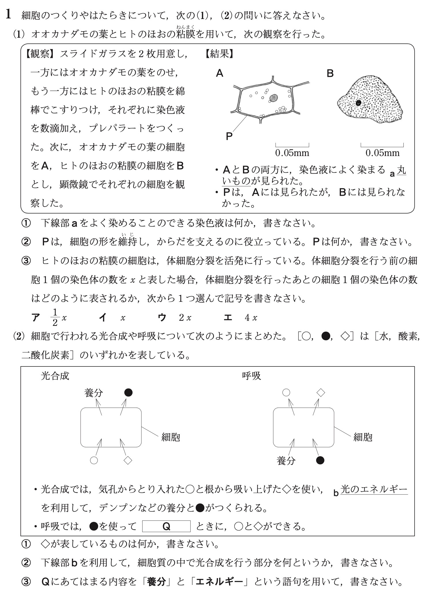 秋田県公立高校入試理科2022年(令和4年)過去問題