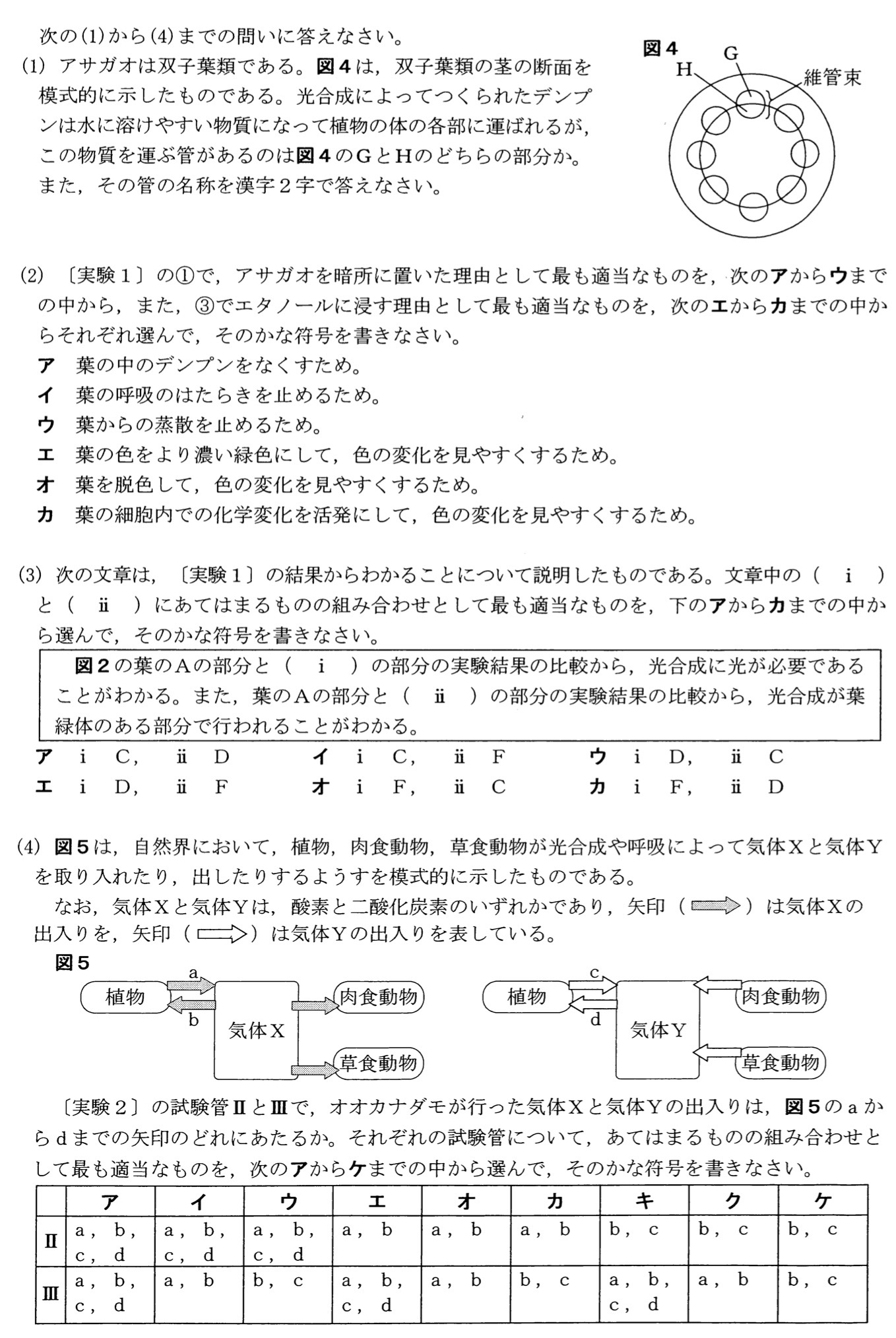 愛知県(B日程)公立高校入試理科2022年(令和4年)過去問題
