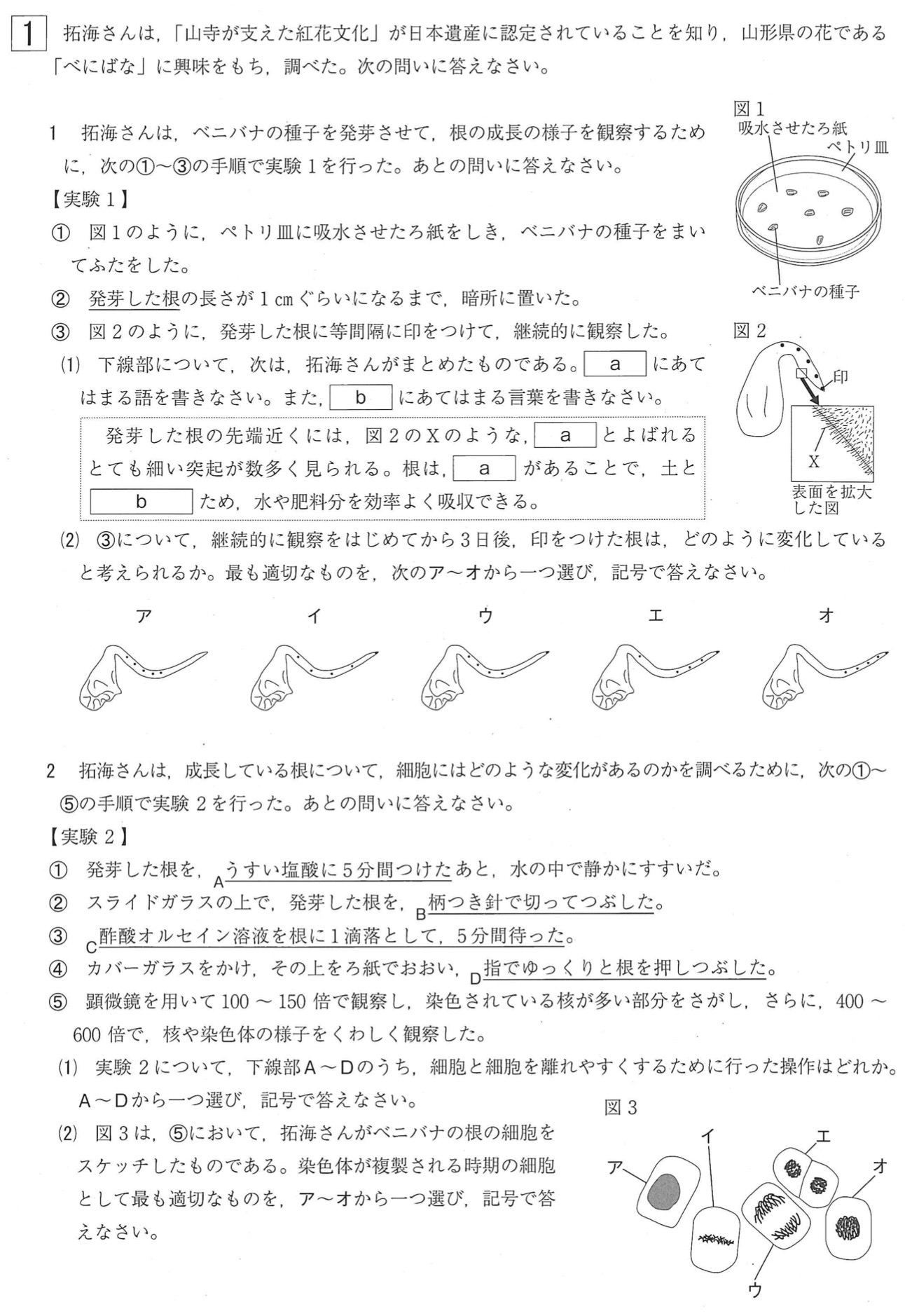 22 令和4年 山形県公立高校入試 理科 の過去問題 解答 答え 詳しい解説を全て公開 家庭教師のそら