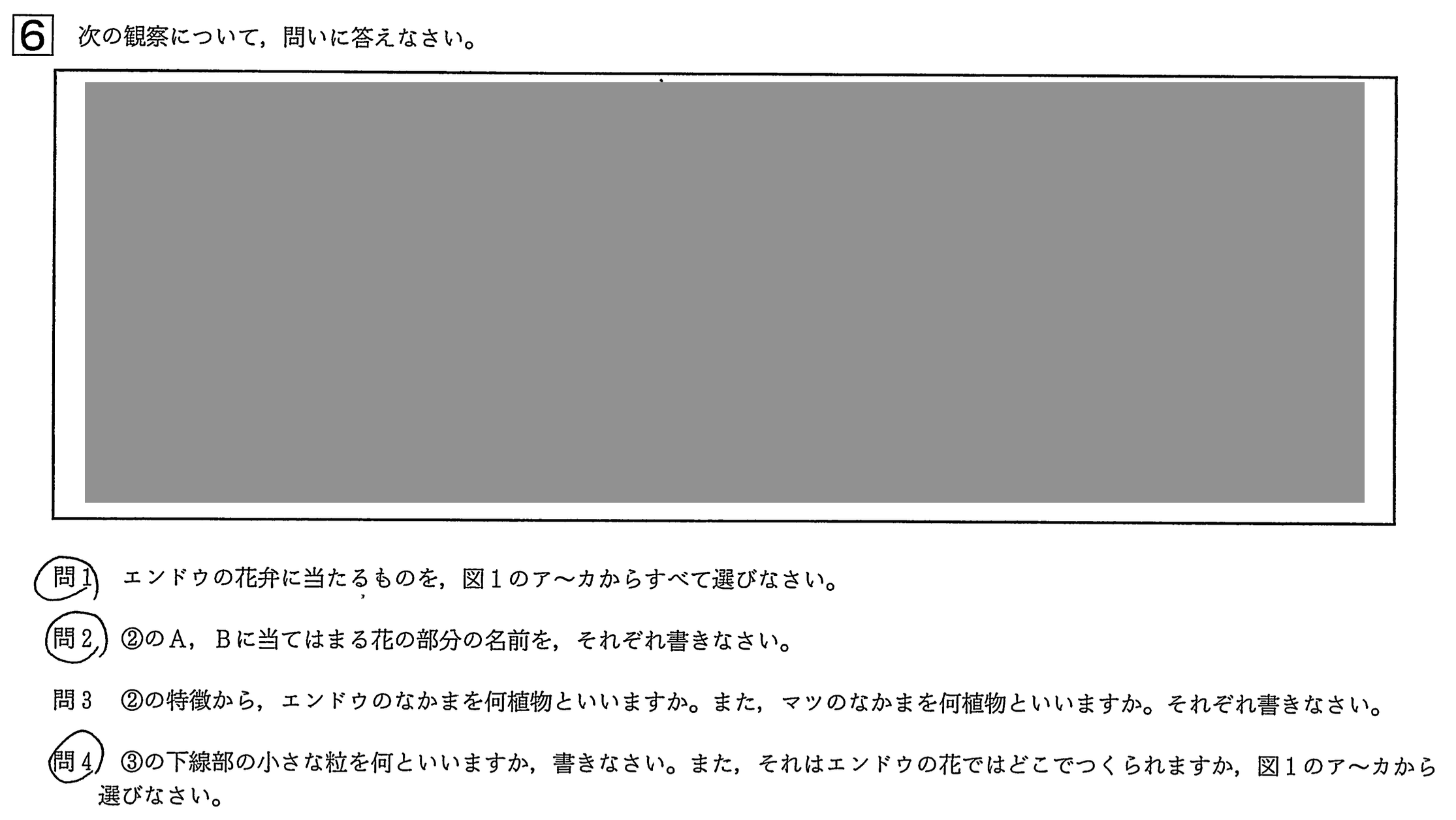 中学3年北海道学力テスト総合A「理科」(2022、令和4年)問題