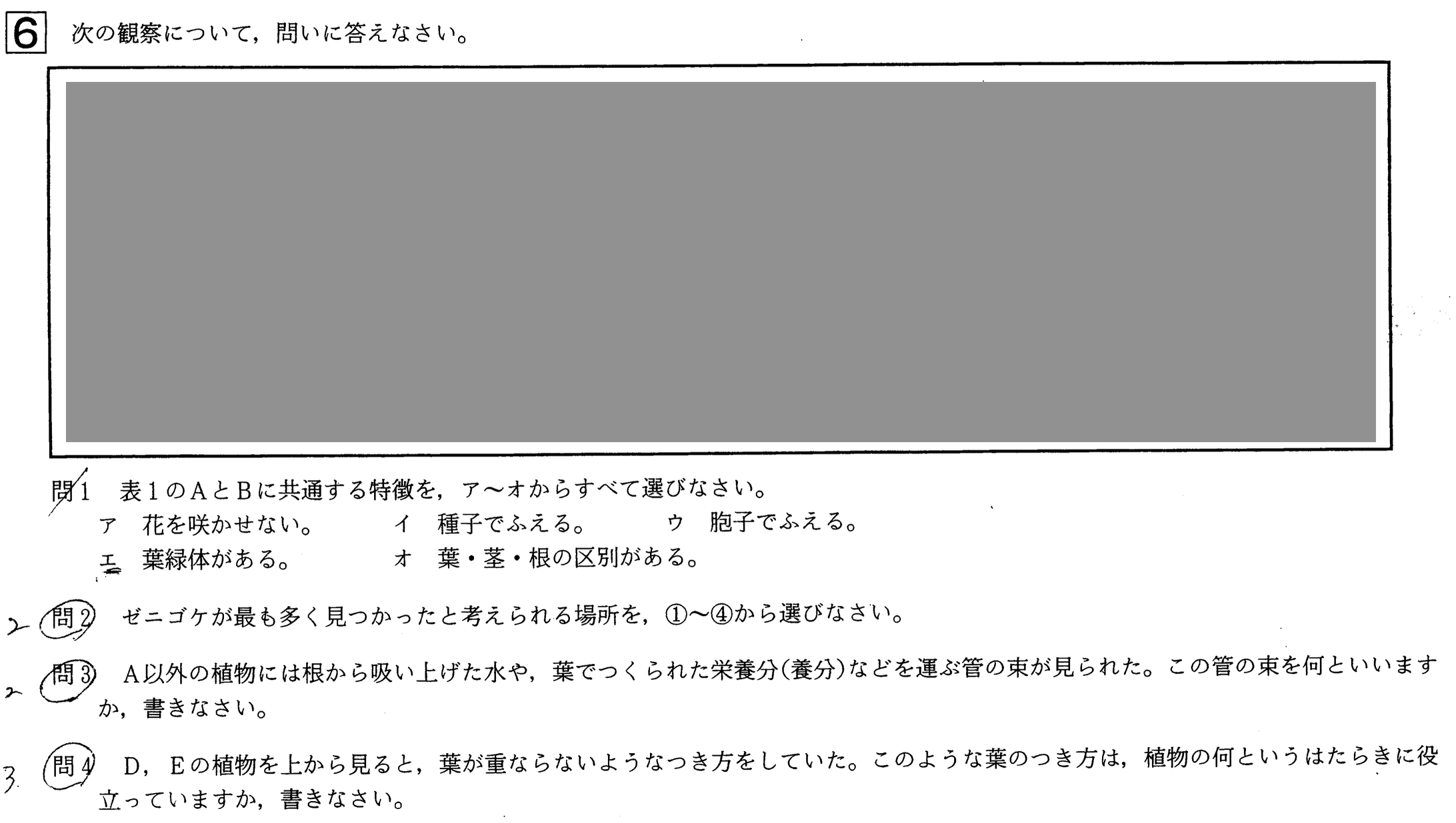 中学3年北海道学力テスト総合B「理科」(2022、令和4年)問題