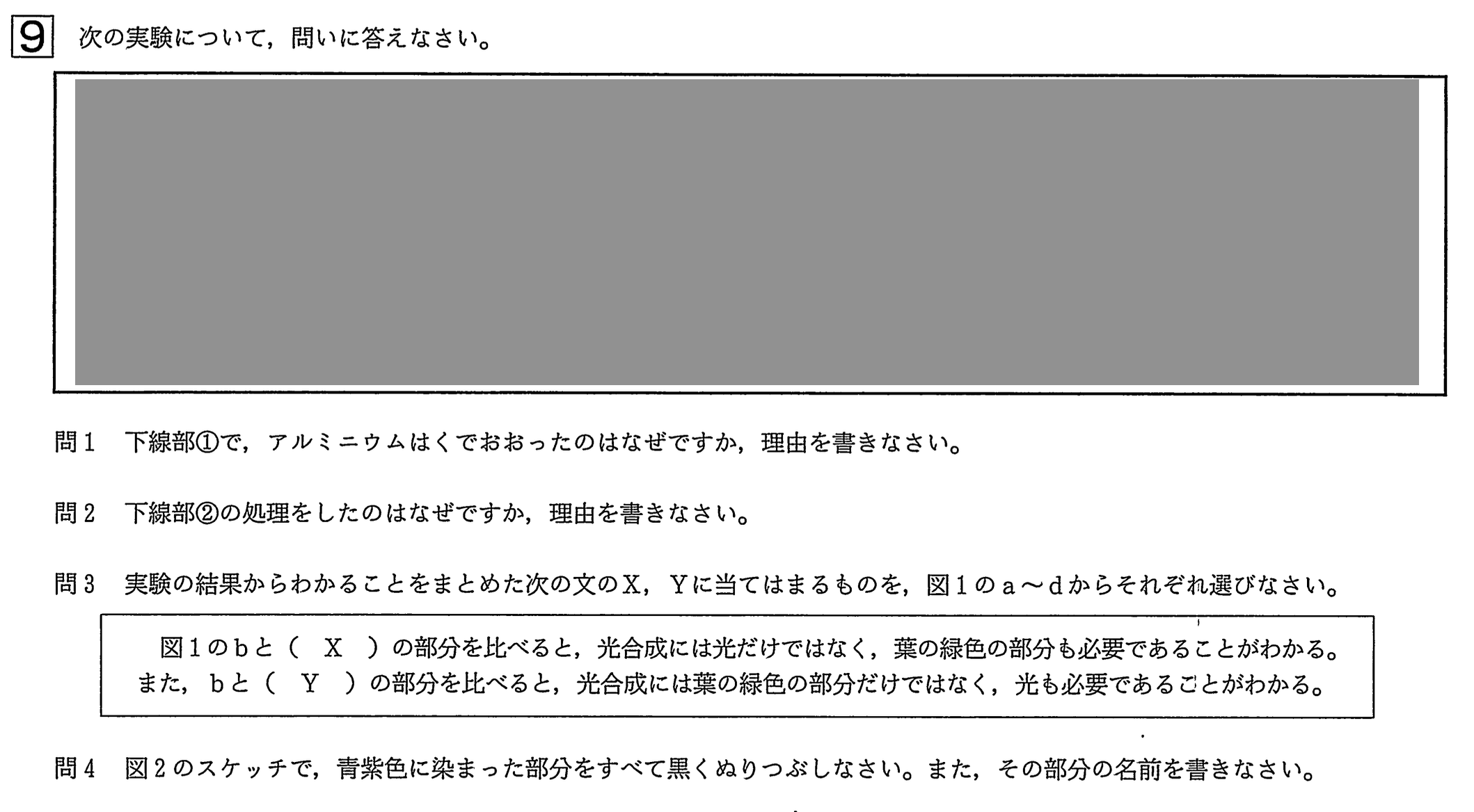 中学3年北海道学力テスト総合C「理科」(2022、令和4年)問題
