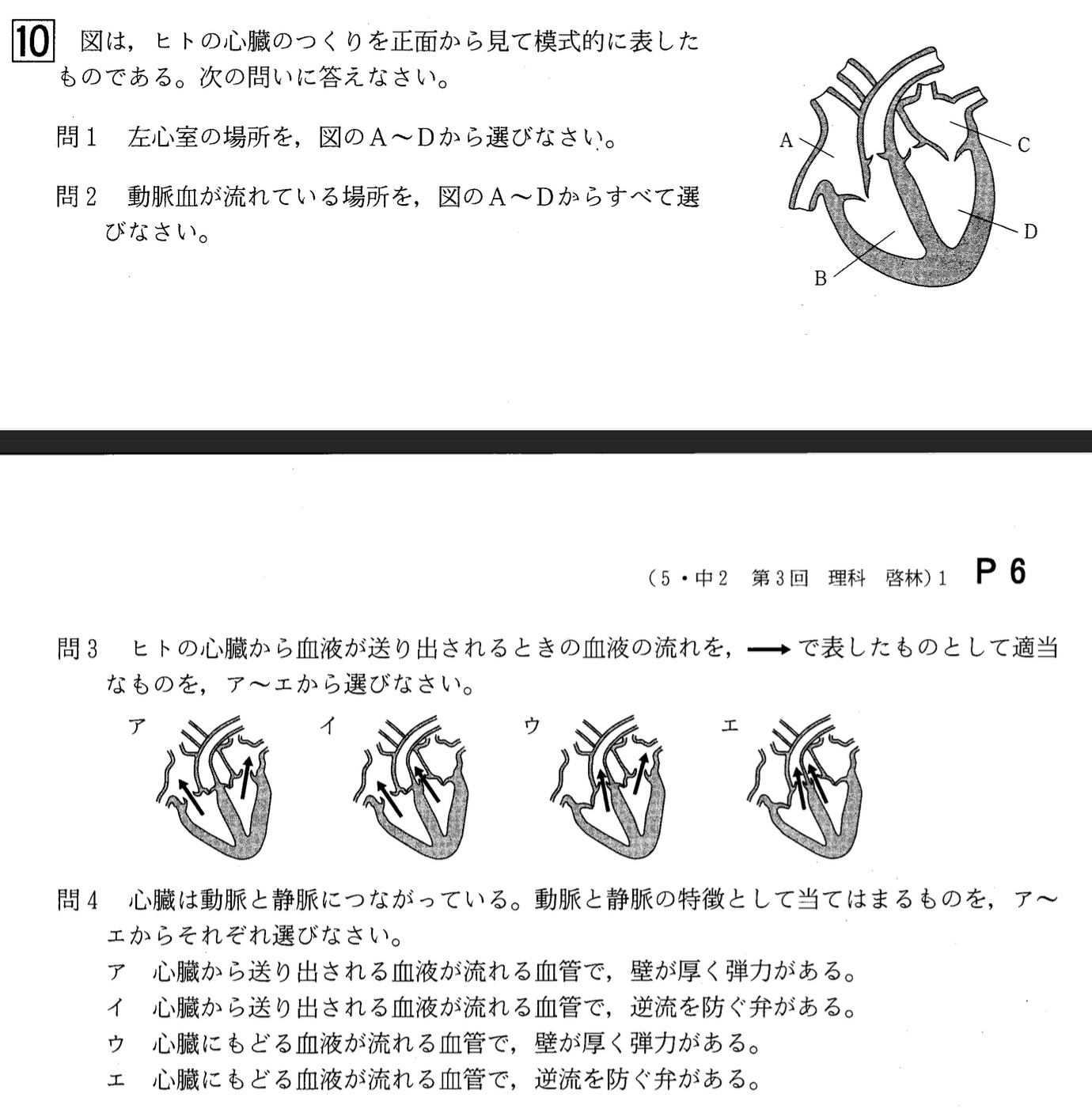 【2023年】中学2年北海道学力テスト第3回「理科」の過去問題
