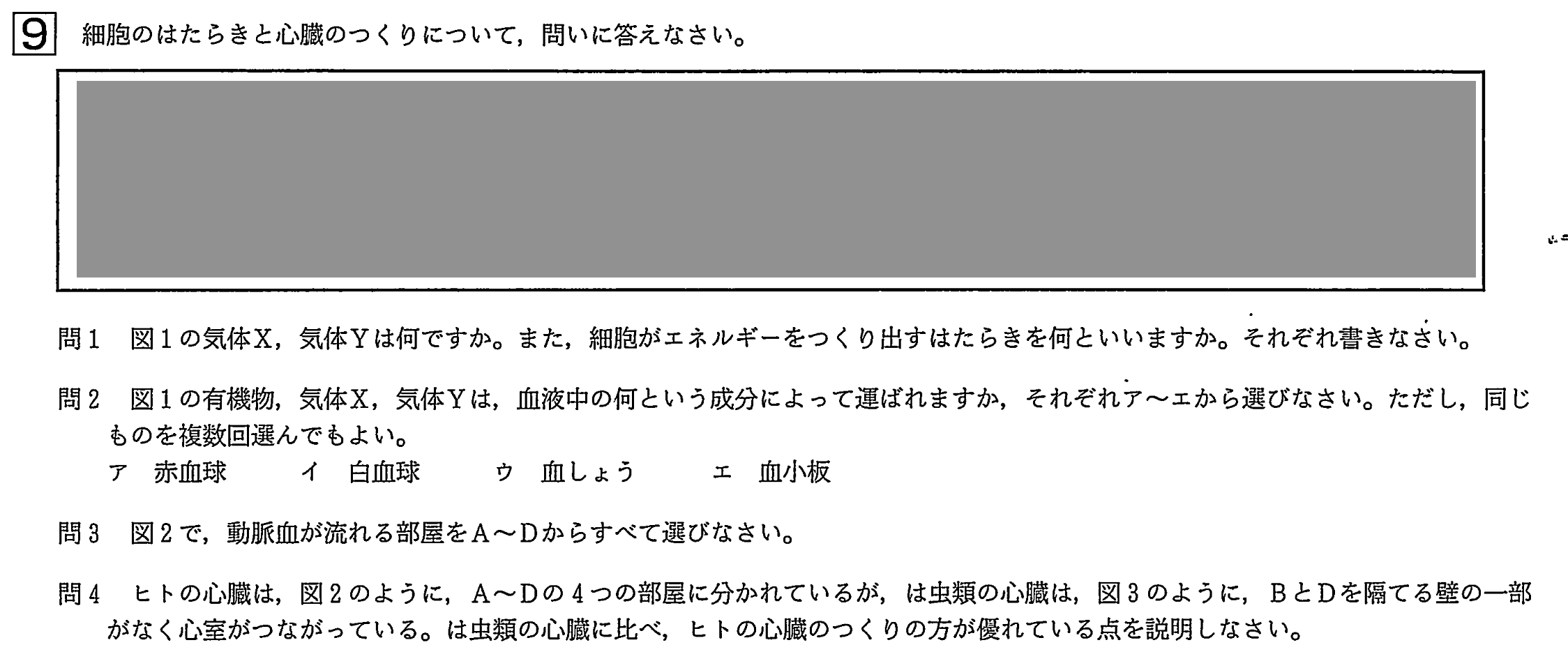 中学3年北海道学力テスト総合C「理科」(2023、令和5年)問題