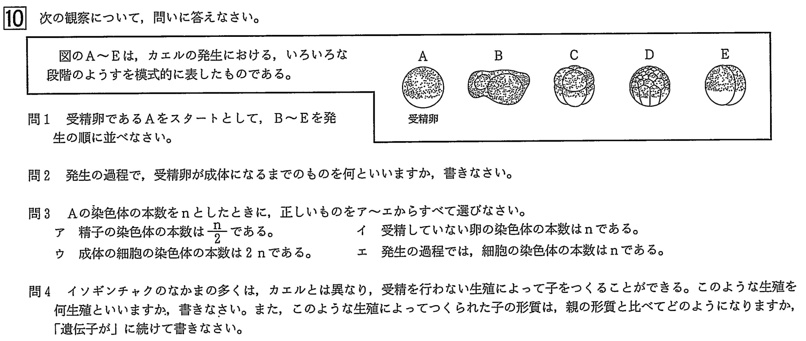 中学3年北海道学力テスト総合B「理科」(2024年、令和6年)問題