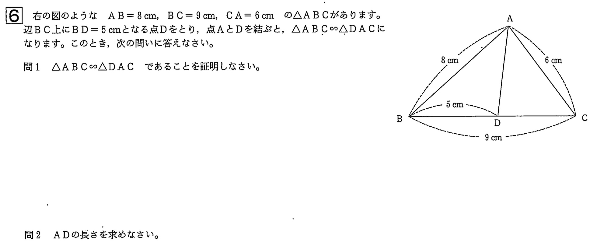 中学3年北海道学力テスト総合C「数学」(2024、令和6年)問題